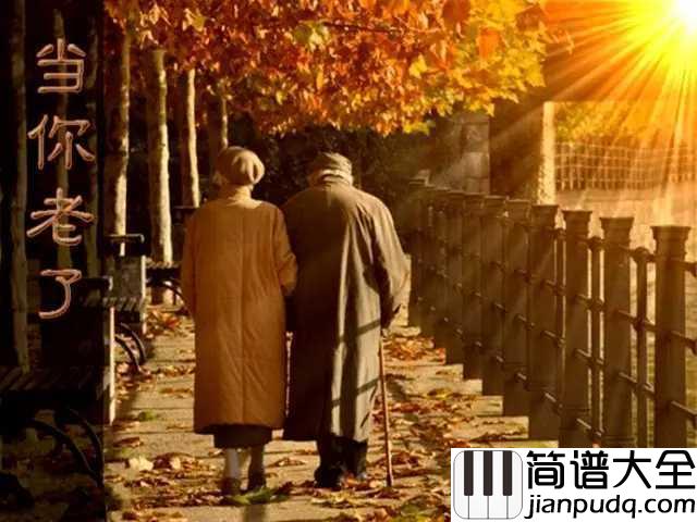 当你老了吉他谱_赵照_爱和恨之间复杂的张力