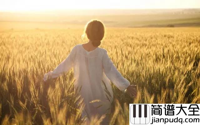 关于郑州的记忆李志_吉他谱_那是一个回忆的地方