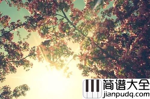 南山南吉他谱_马頔__每个人都是一座孤岛