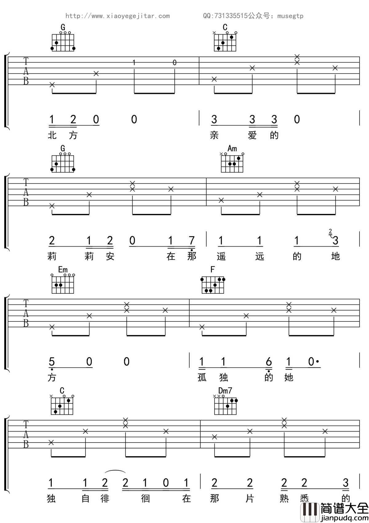 我不是你的宋冬野吉他谱_C调吉他弹唱谱_林启得