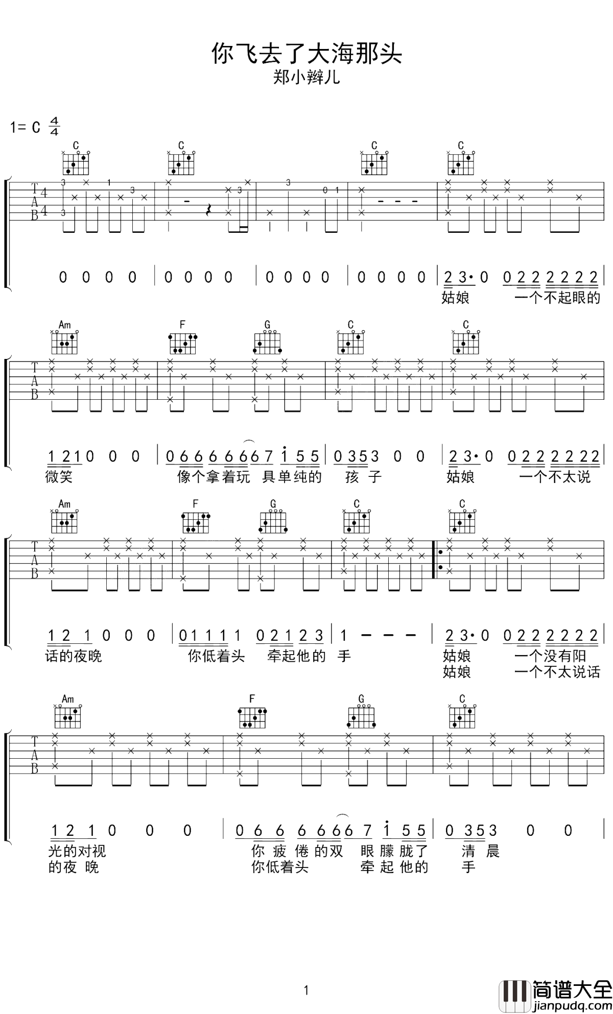 你飞去了大海那头吉他谱_郑小辫儿_我留在了这头