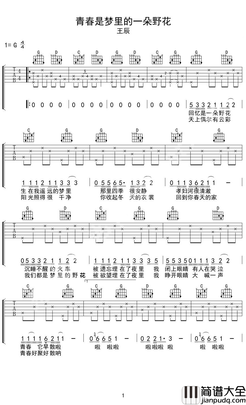 青春是梦里的一朵野花吉他谱_王辰_青春是梦里的一朵野花，歌声未尽欲语泪先流