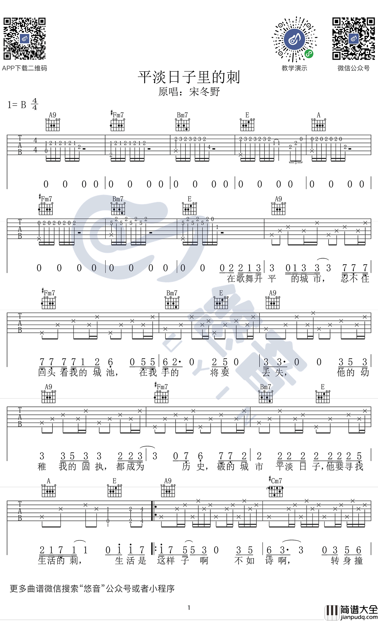 平淡日子里的刺吉他谱_宋冬野_弹唱谱