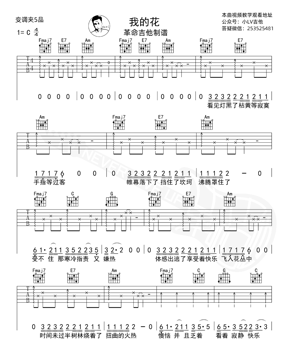 我的花吉他谱_要不要买菜_C调简单版_弹唱六线谱