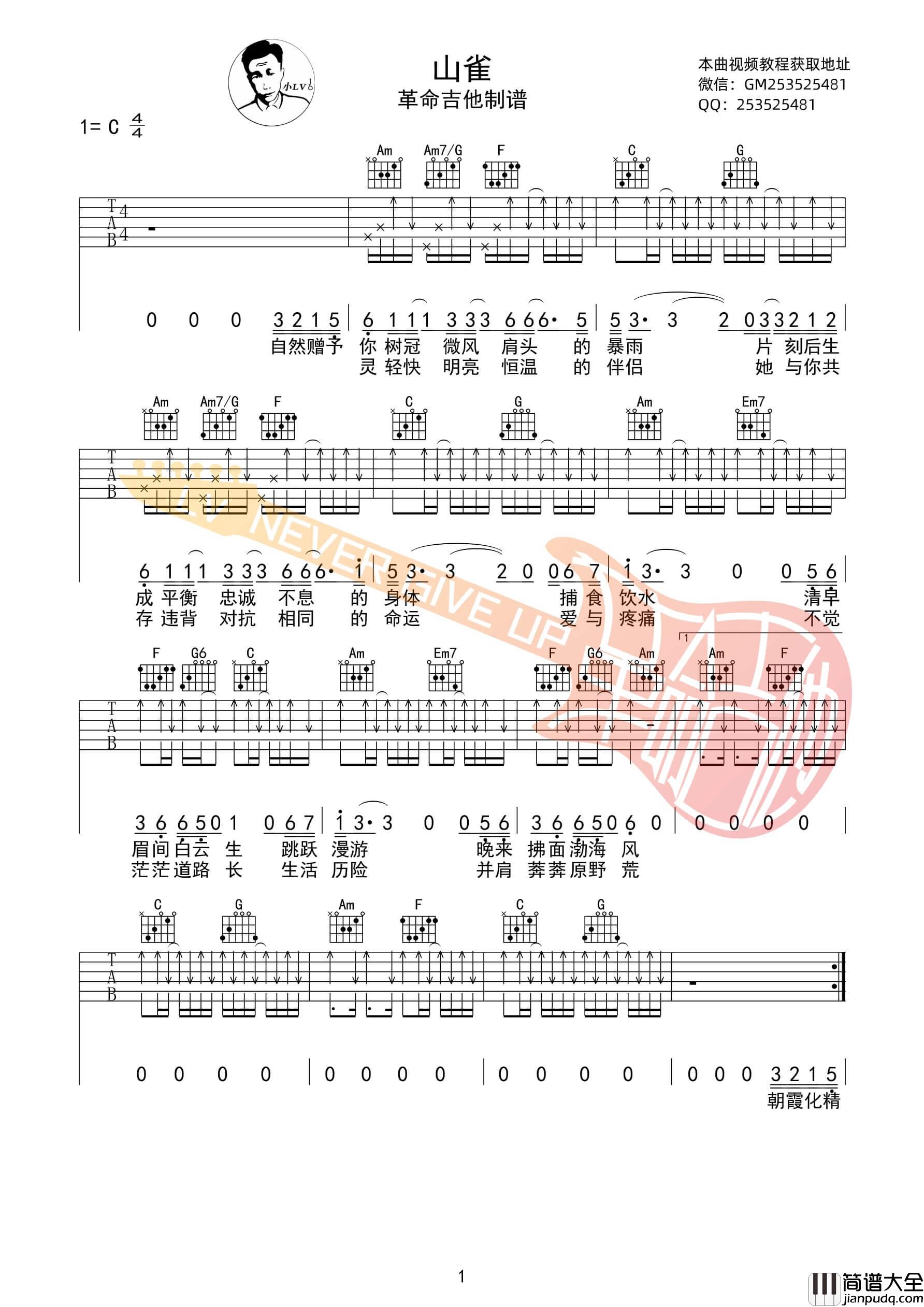 山雀吉他谱_C调扫弦版_革命吉他编配_万青