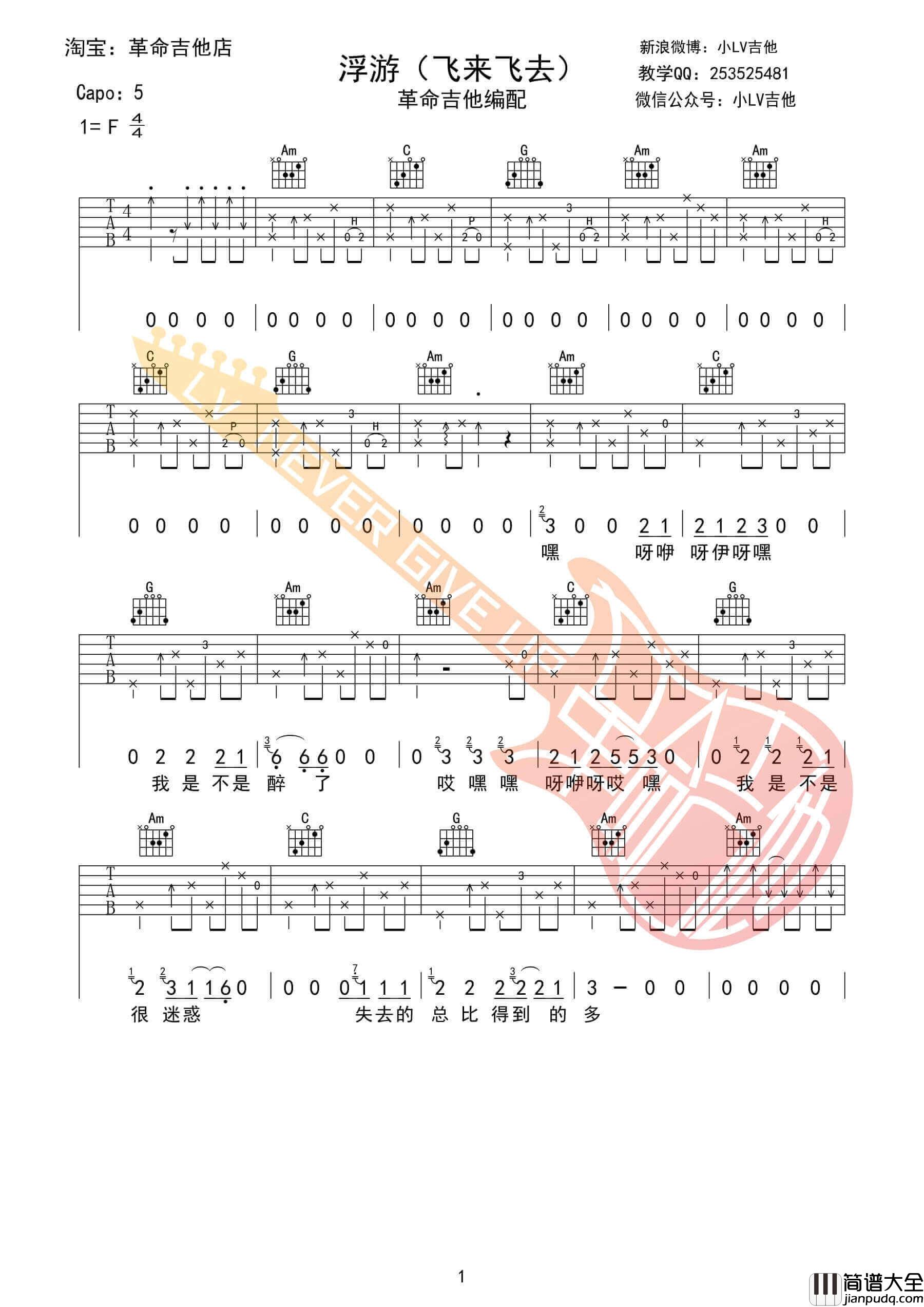 浮游吉他谱_G调六线谱_革命吉他_赵雷