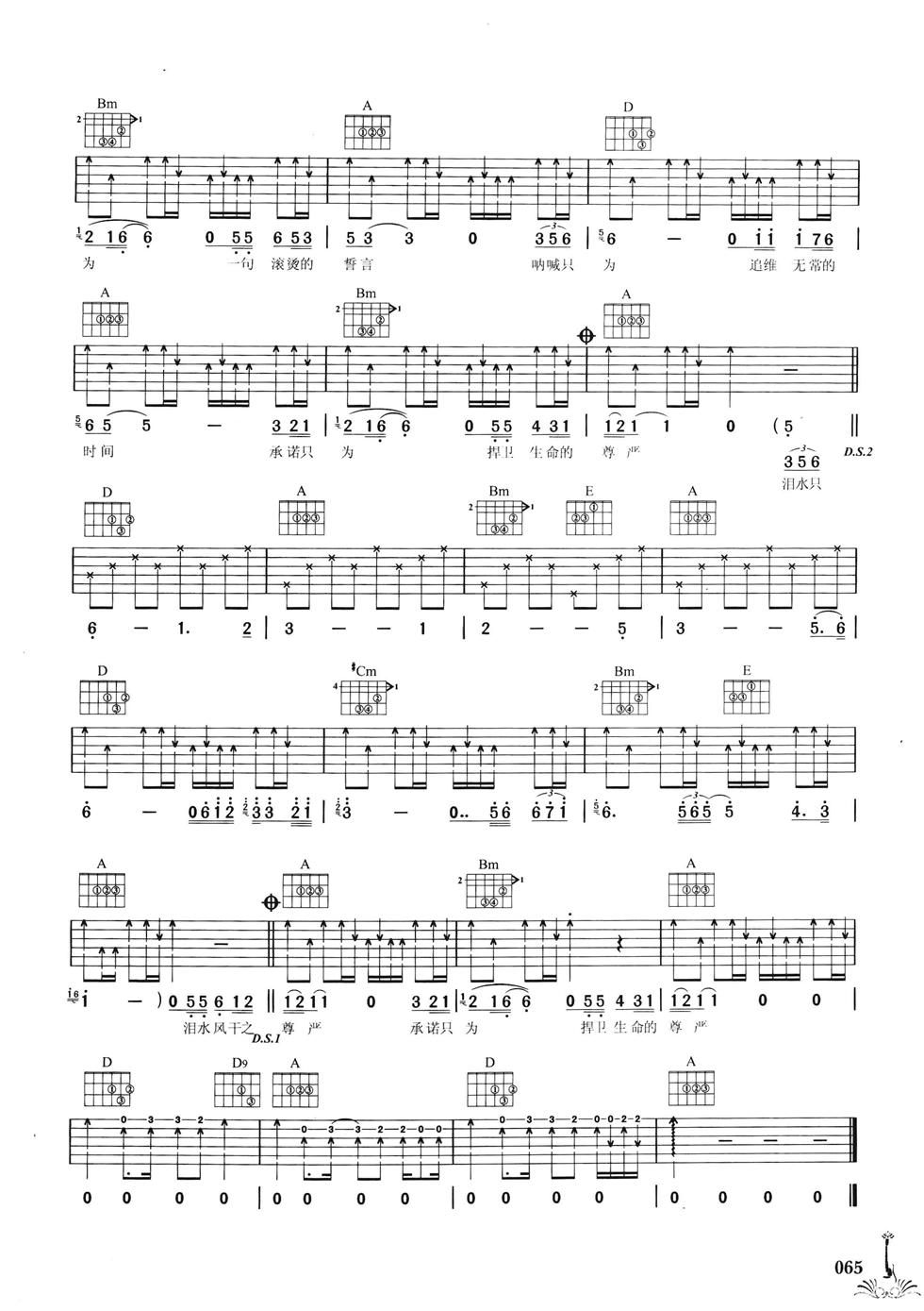 生命的尊严吉他谱_A调六线谱_扫弦版_水木年华
