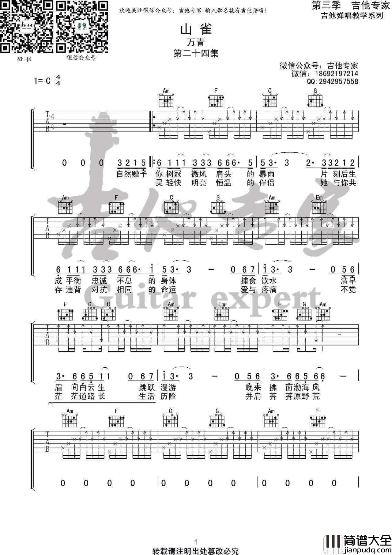 山雀吉他谱_万能青年旅店__山雀_C调弹唱谱_高清六线谱