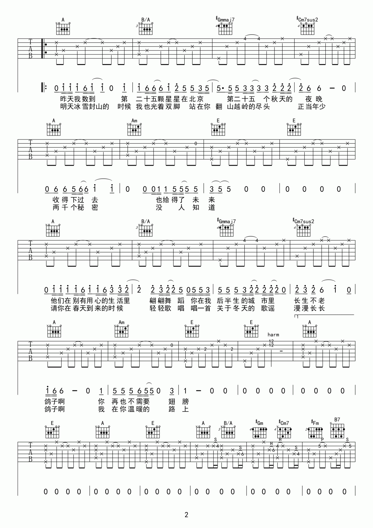 鸽子吉他谱__宋冬野