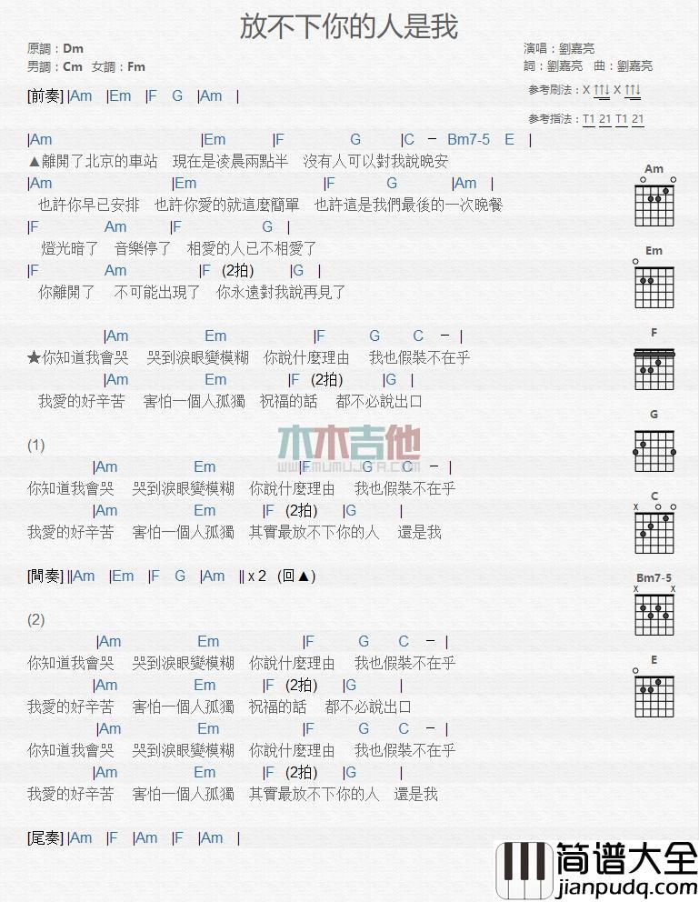 放不下你的人是我_吉他谱_刘嘉亮