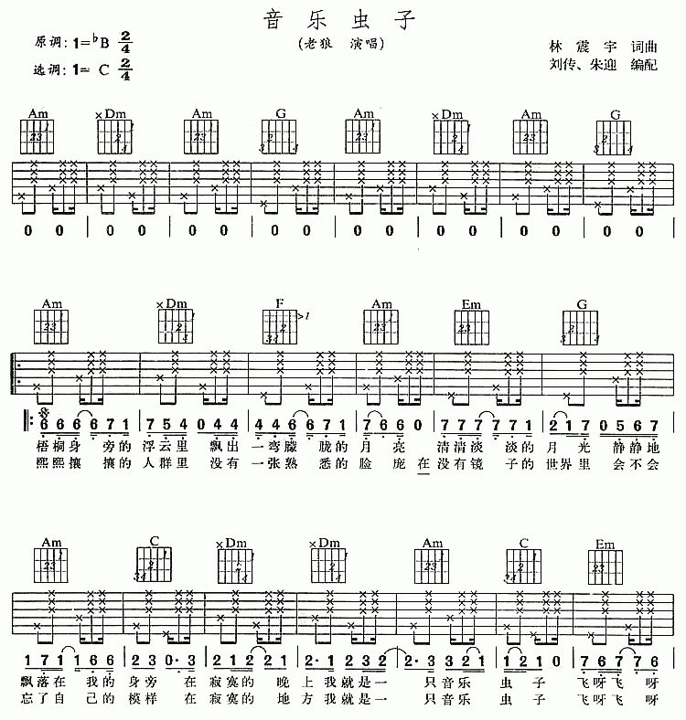 音乐虫子吉他谱__老狼