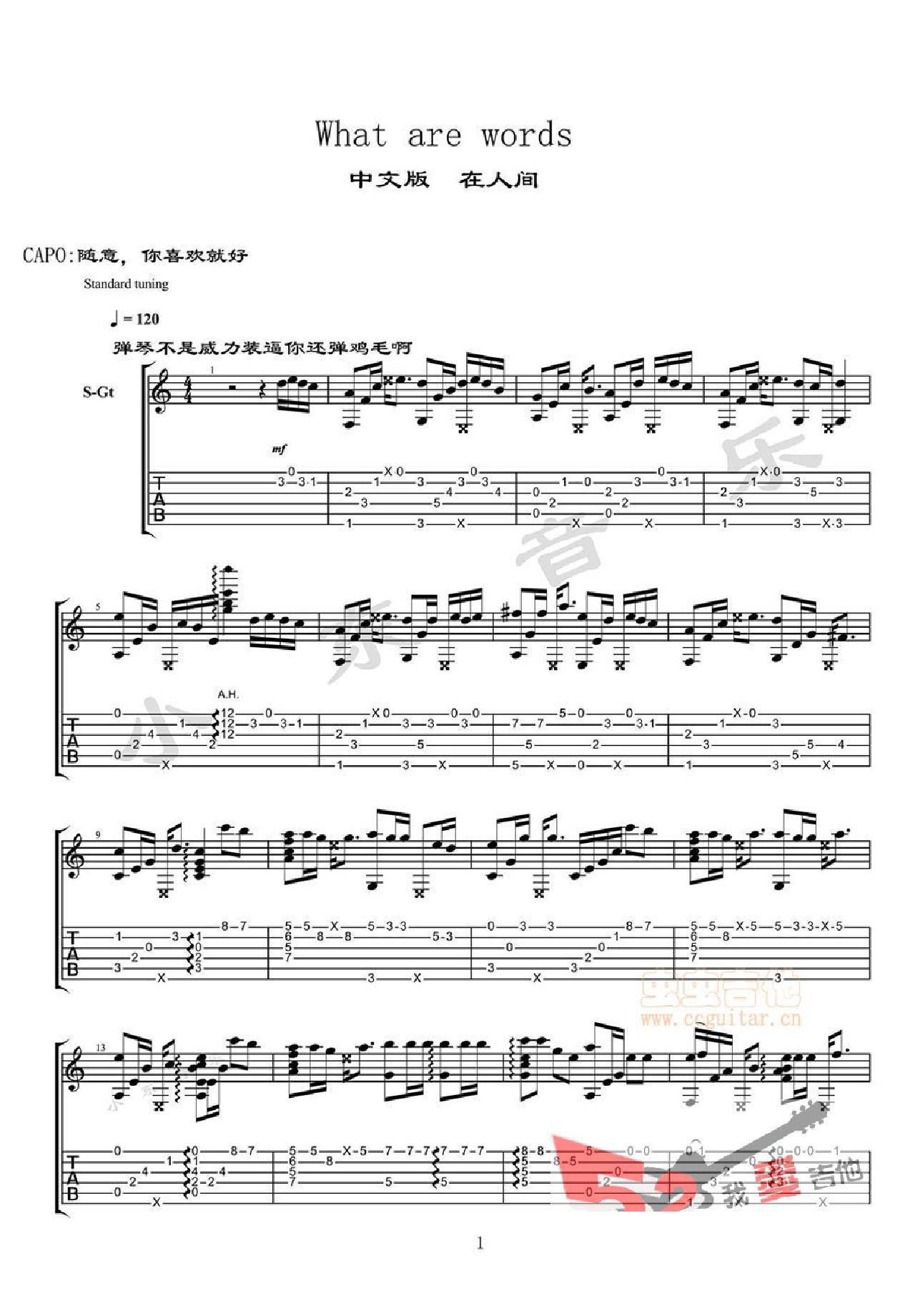 Whatarewords在人间吉他谱_王建房_G调指弹/独奏谱_图谱1