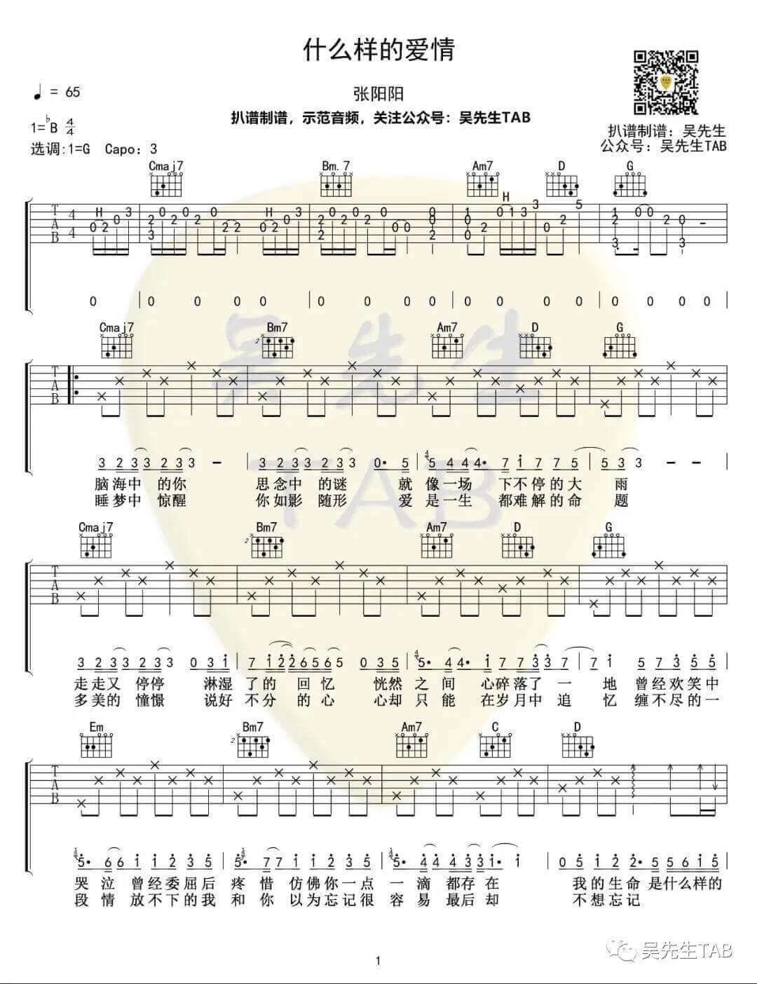 什么样的爱情吉他谱_G调精选版_张阳阳