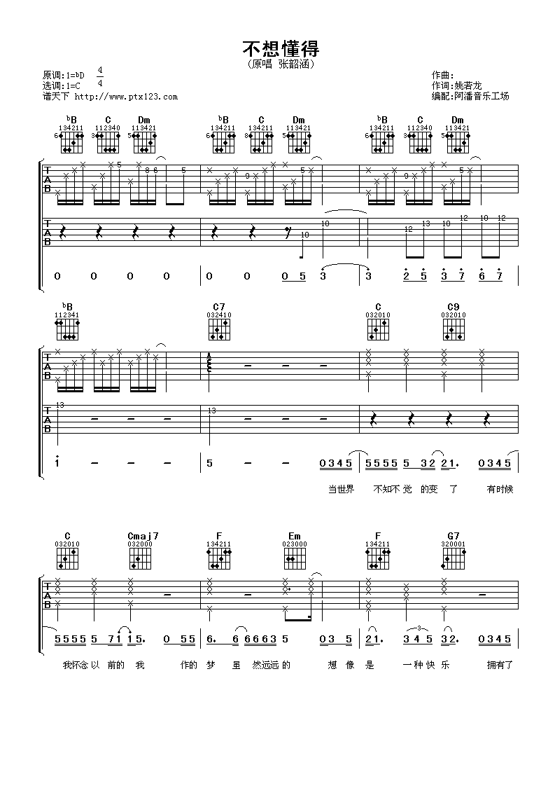 不想懂得吉他谱_C调_阿潘音乐工场编配_张韶涵