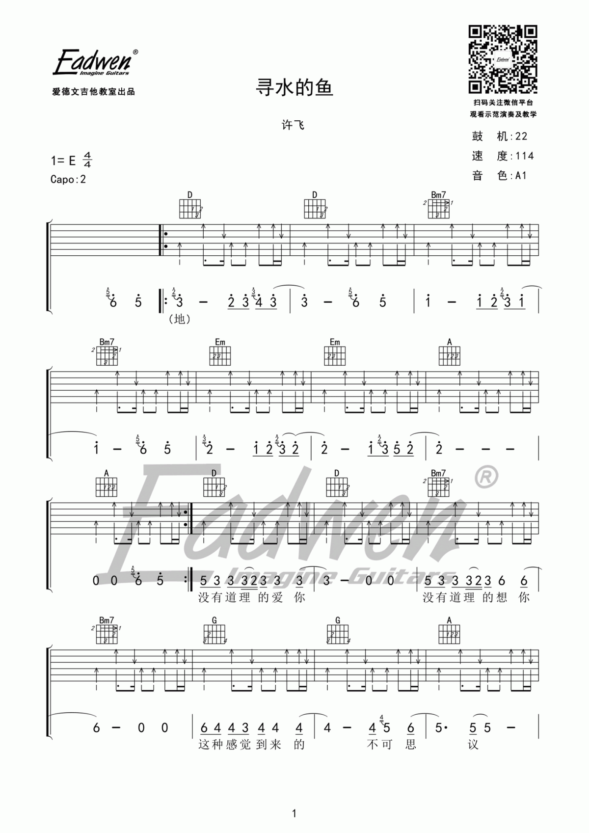 寻水的鱼吉他谱_D调_许飞