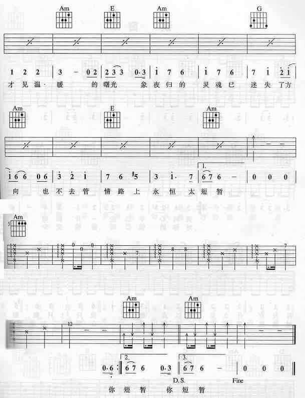 都是夜归人吉他谱_C调六线谱_简单版_许美静