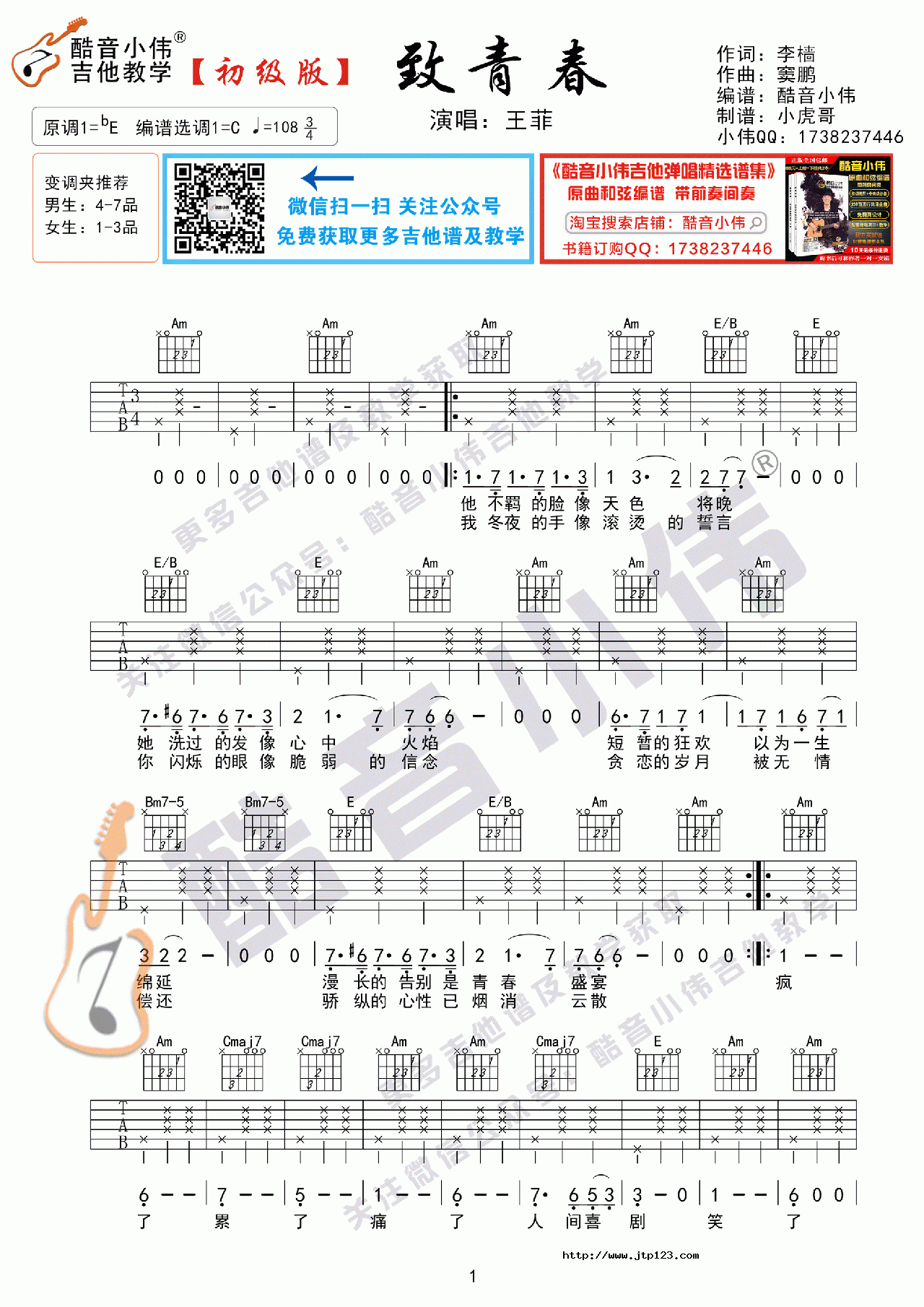 致青春吉他谱_王菲_C调和弦弹唱谱_初级版_图谱1