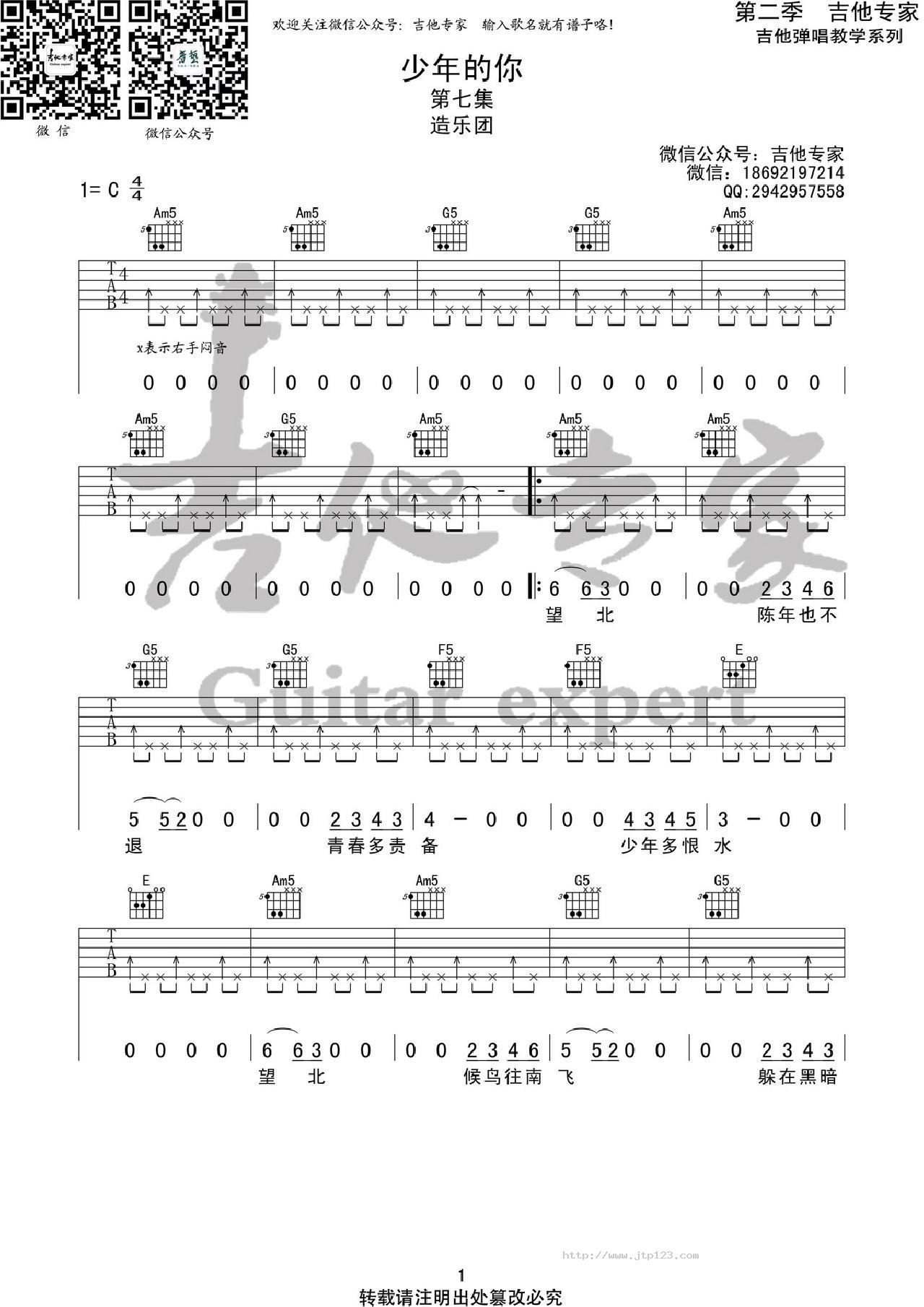 少年的你吉他谱_造乐团_C调和弦弹唱谱_图谱1