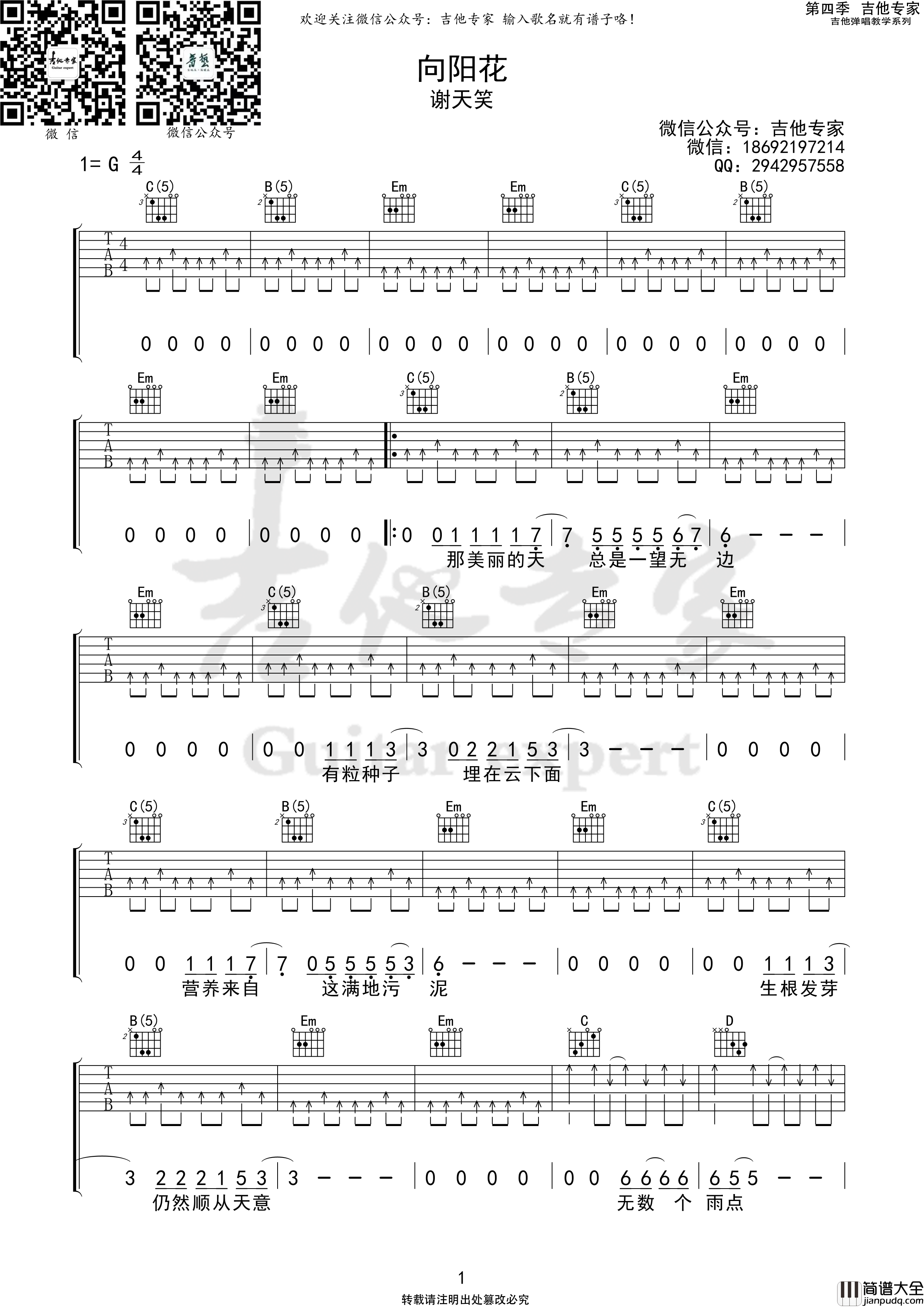 向阳花吉他谱（吉他专家）谢天笑