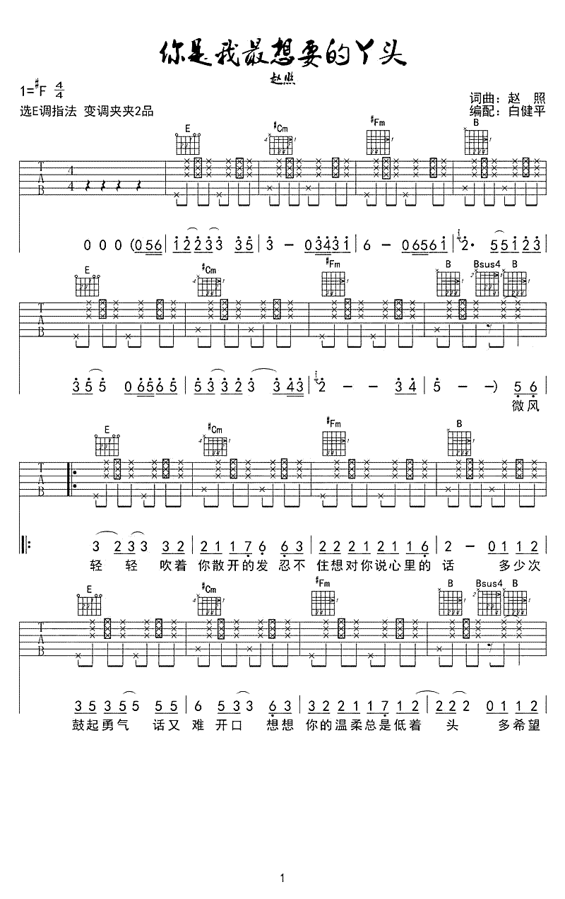 你就是我最想要的丫头吉他谱_赵照_弹唱谱_六线谱