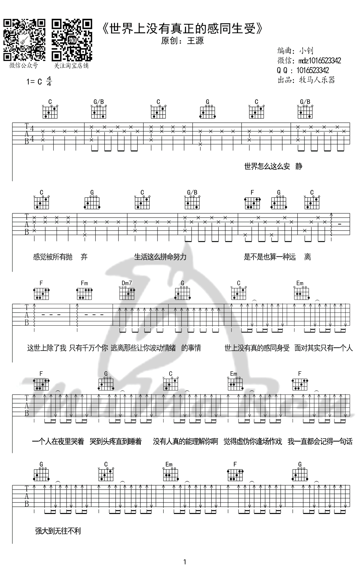 世界上没有真正的感同身受吉他谱_王源_C调弹唱谱