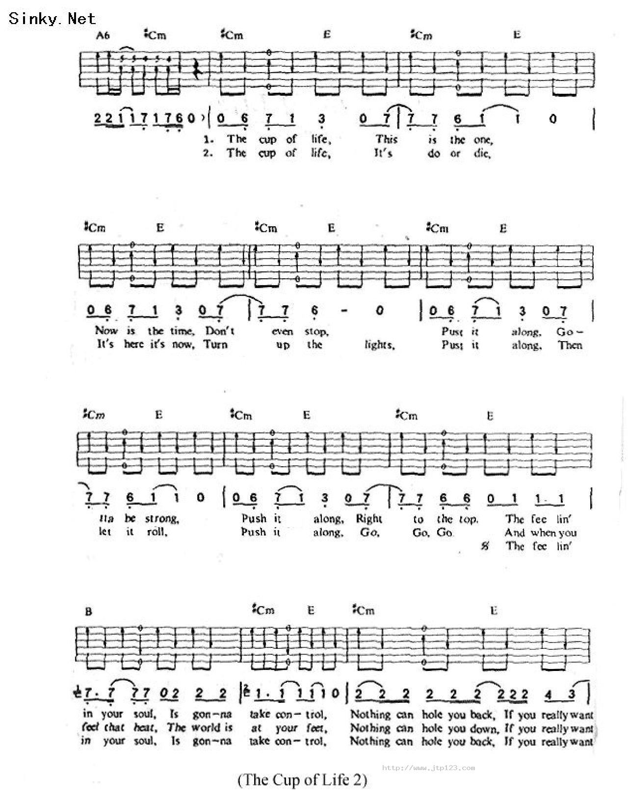 Thecupoflive吉他谱_RickyMartin_C调和弦弹唱谱_一_图谱2