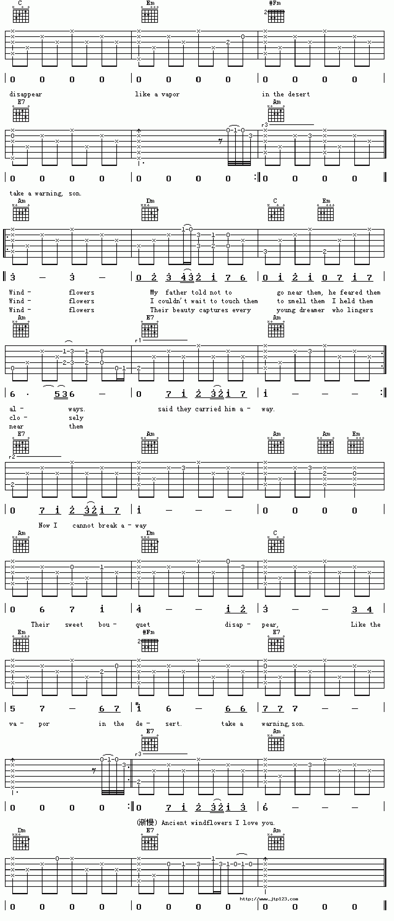 WindFlower吉他谱_齐秦_C调和弦弹唱谱_图谱2