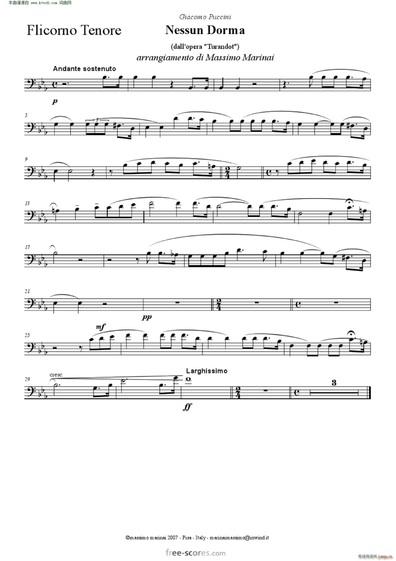 NessunDorma今夜无人入睡 管弦乐 含各声部(总谱)13