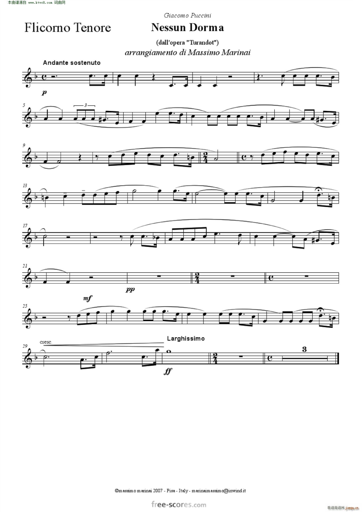 NessunDorma今夜无人入睡 管弦乐 含各声部(总谱)14