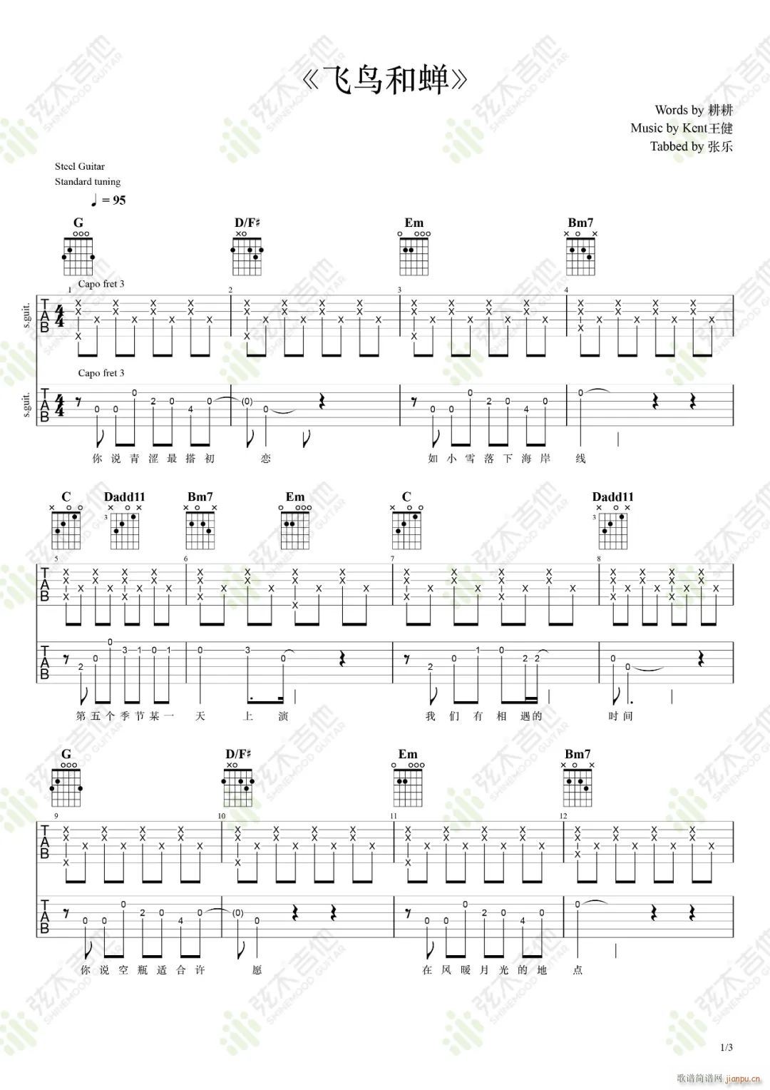 飞鸟和蝉指弹 双吉他独奏(吉他谱)1