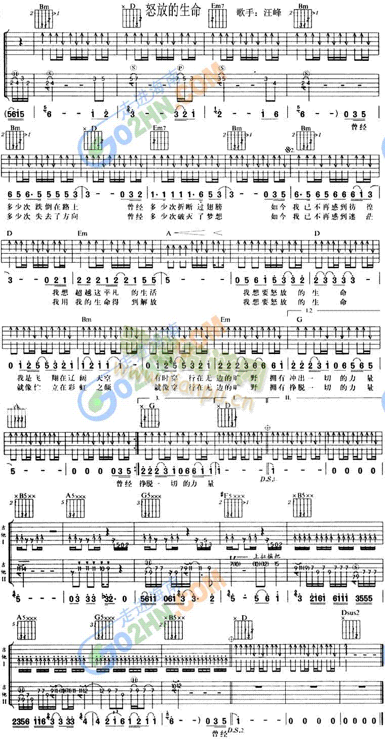 怒放的生命(吉他谱)1