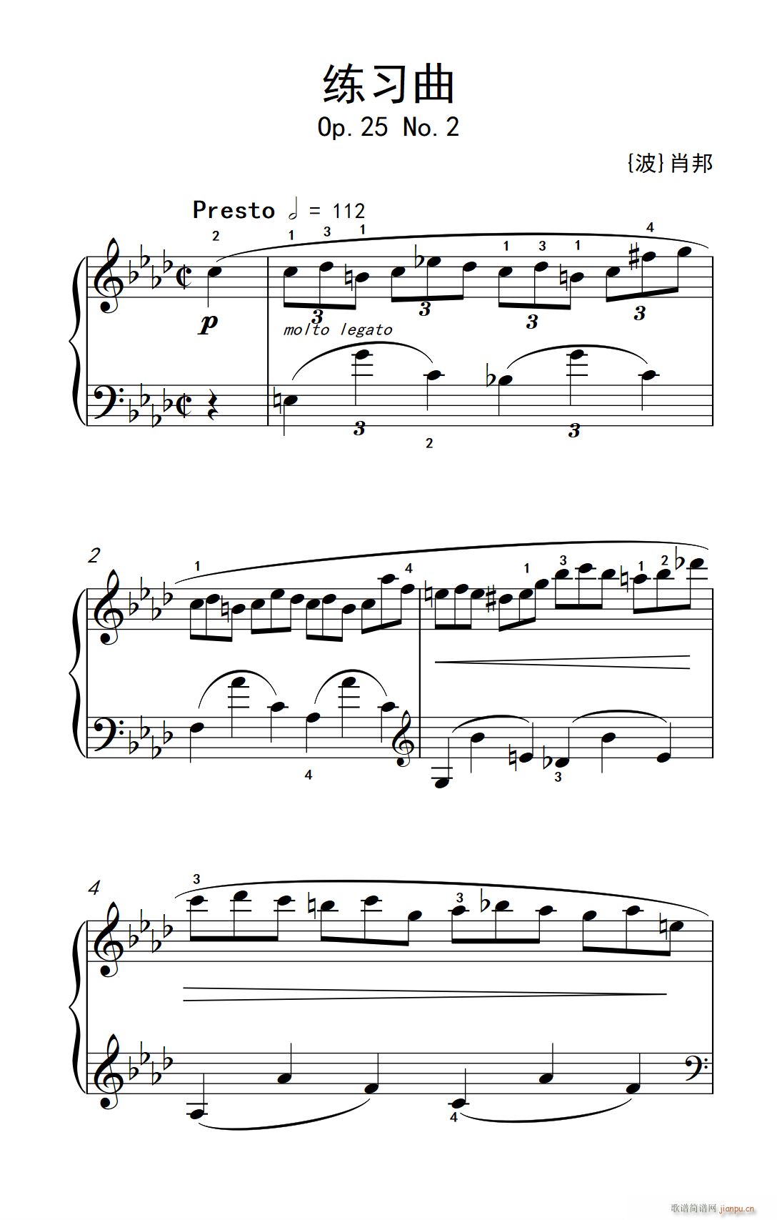 第九级1 练习曲 Op 25 No 2 中央音乐学院 钢琴 业余 考级教程 7 9级(钢琴谱)1