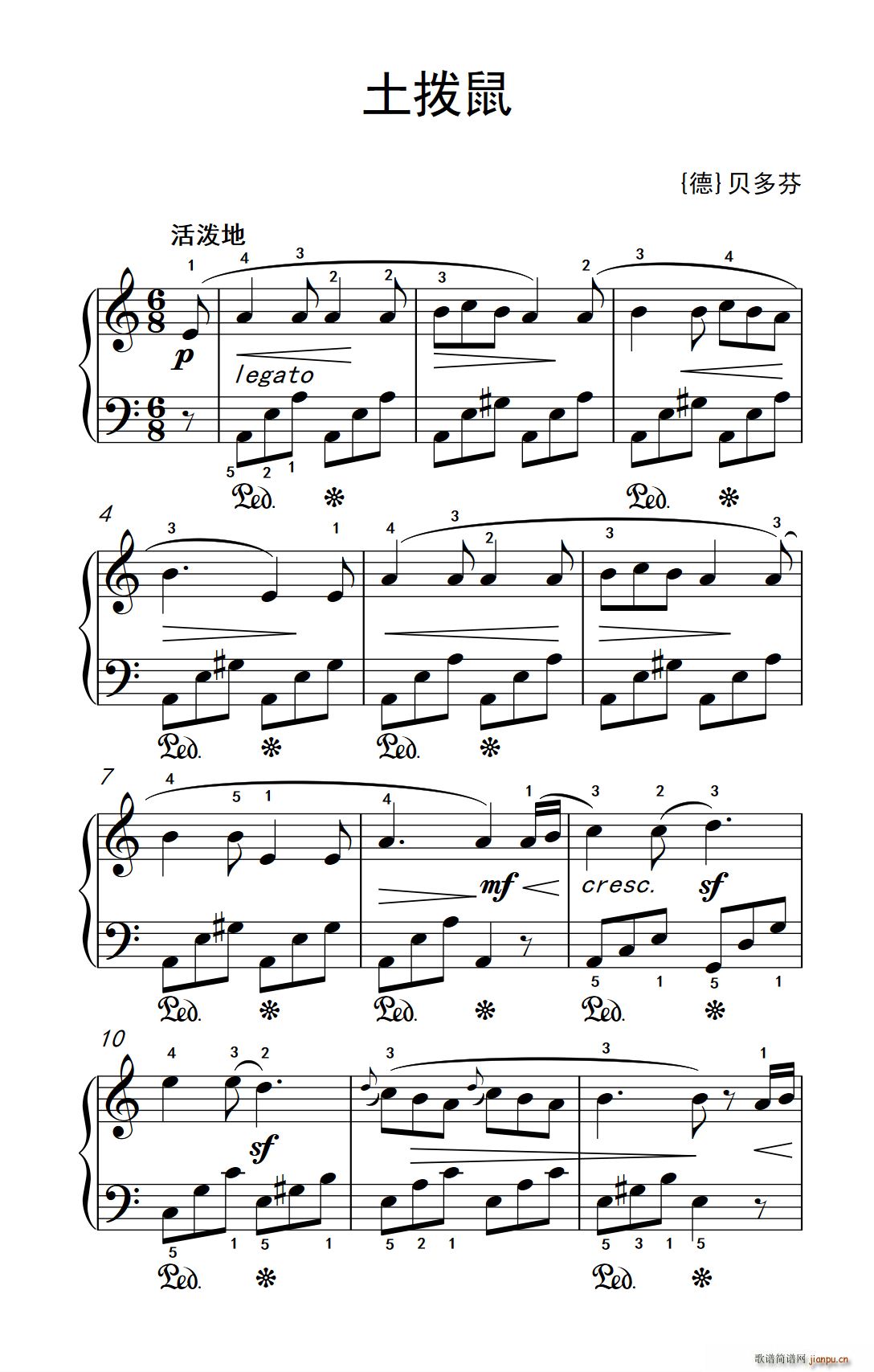 土拨鼠 老年大学 钢琴教程 1(钢琴谱)1