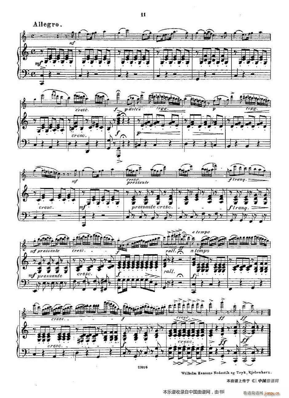 Opern Transcriptionen Op 45 2 长笛 钢琴伴奏(钢琴谱)10