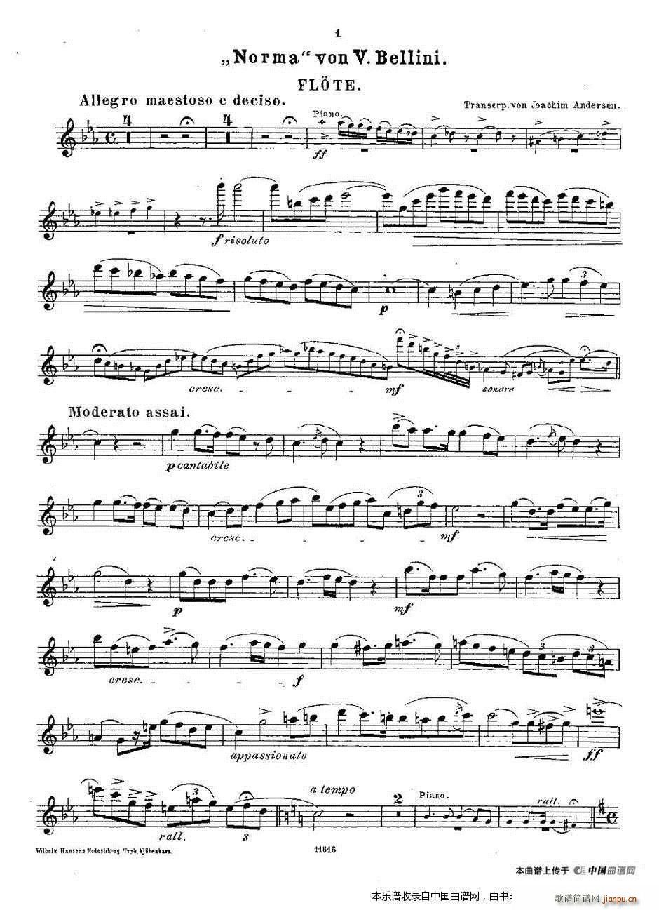 Opern Transcriptionen Op 45 2 长笛 钢琴伴奏(钢琴谱)11