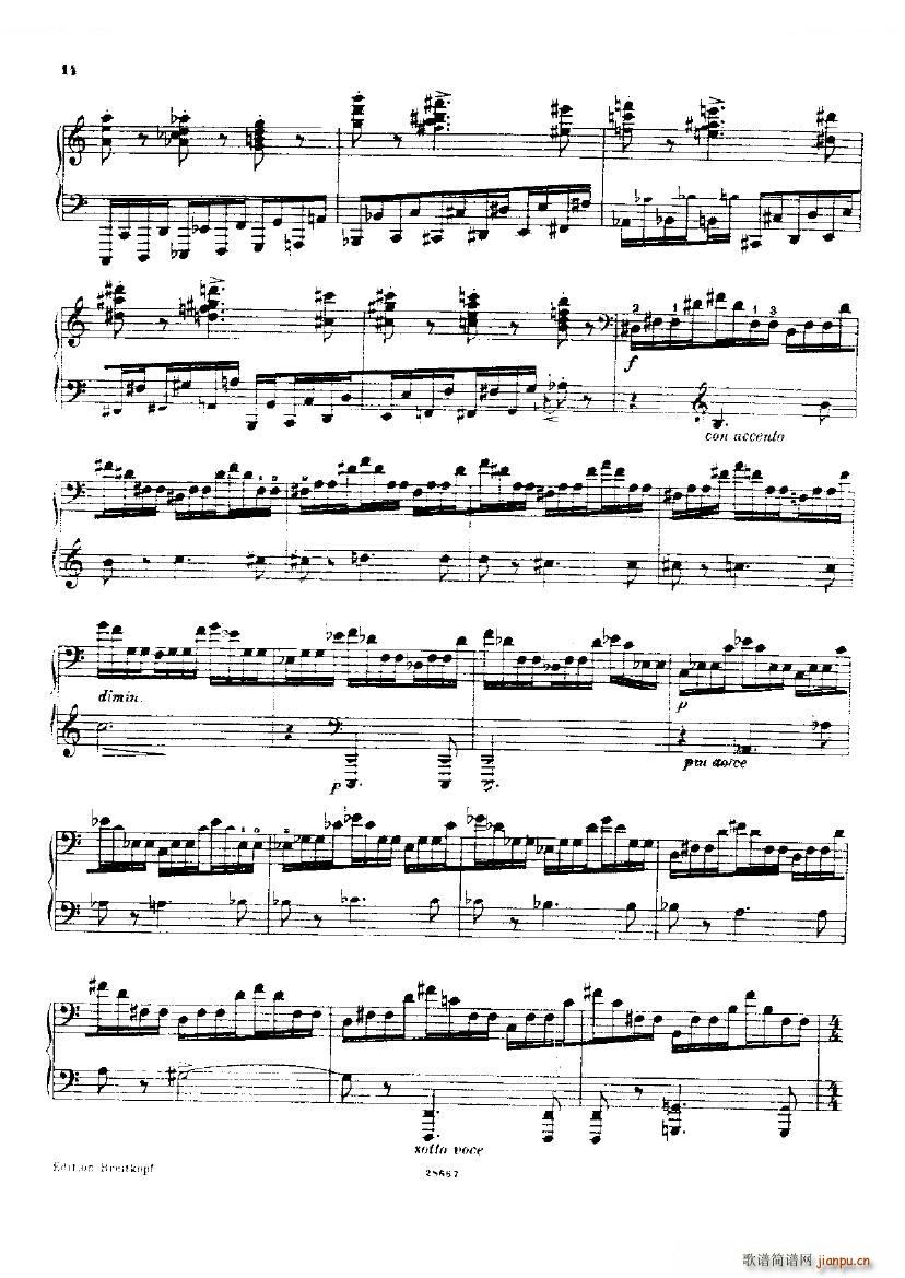 Busoni Toccata 2(钢琴谱)14