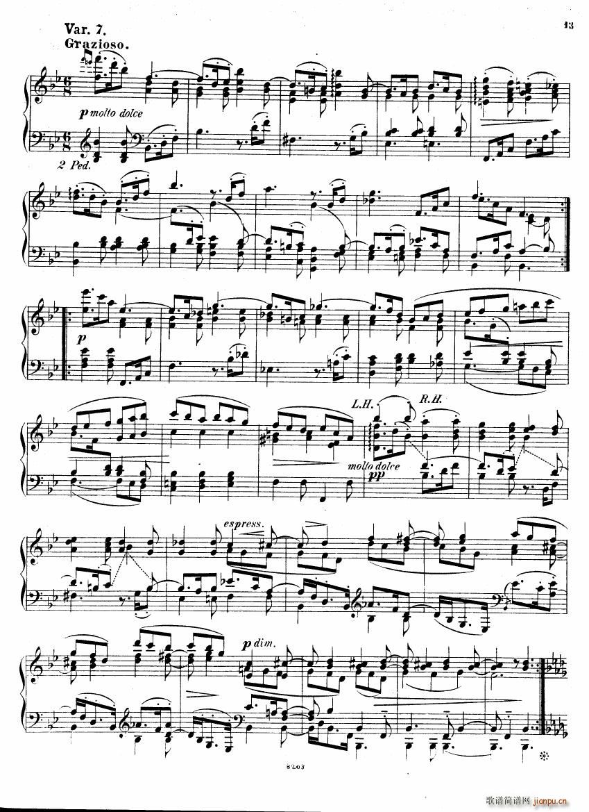 Brahms Stark Haydn Variations pno solo(钢琴谱)12