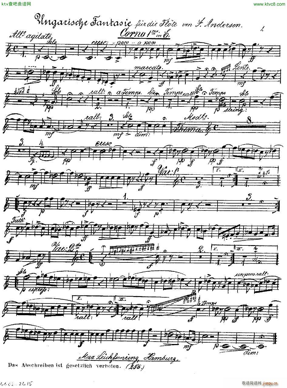 Andersen op 2 Ungarische Fantasie orch parts(钢琴谱)41