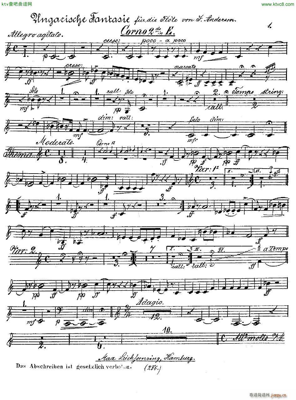 Andersen op 2 Ungarische Fantasie orch parts(钢琴谱)43