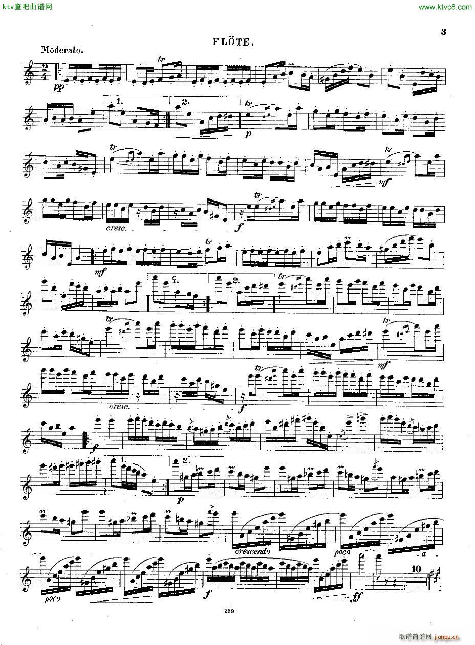 Andersen op 2 Ungarische Fantasie fl pno(钢琴谱)11