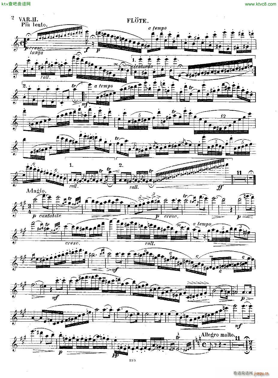 Andersen op 2 Ungarische Fantasie fl pno(钢琴谱)17