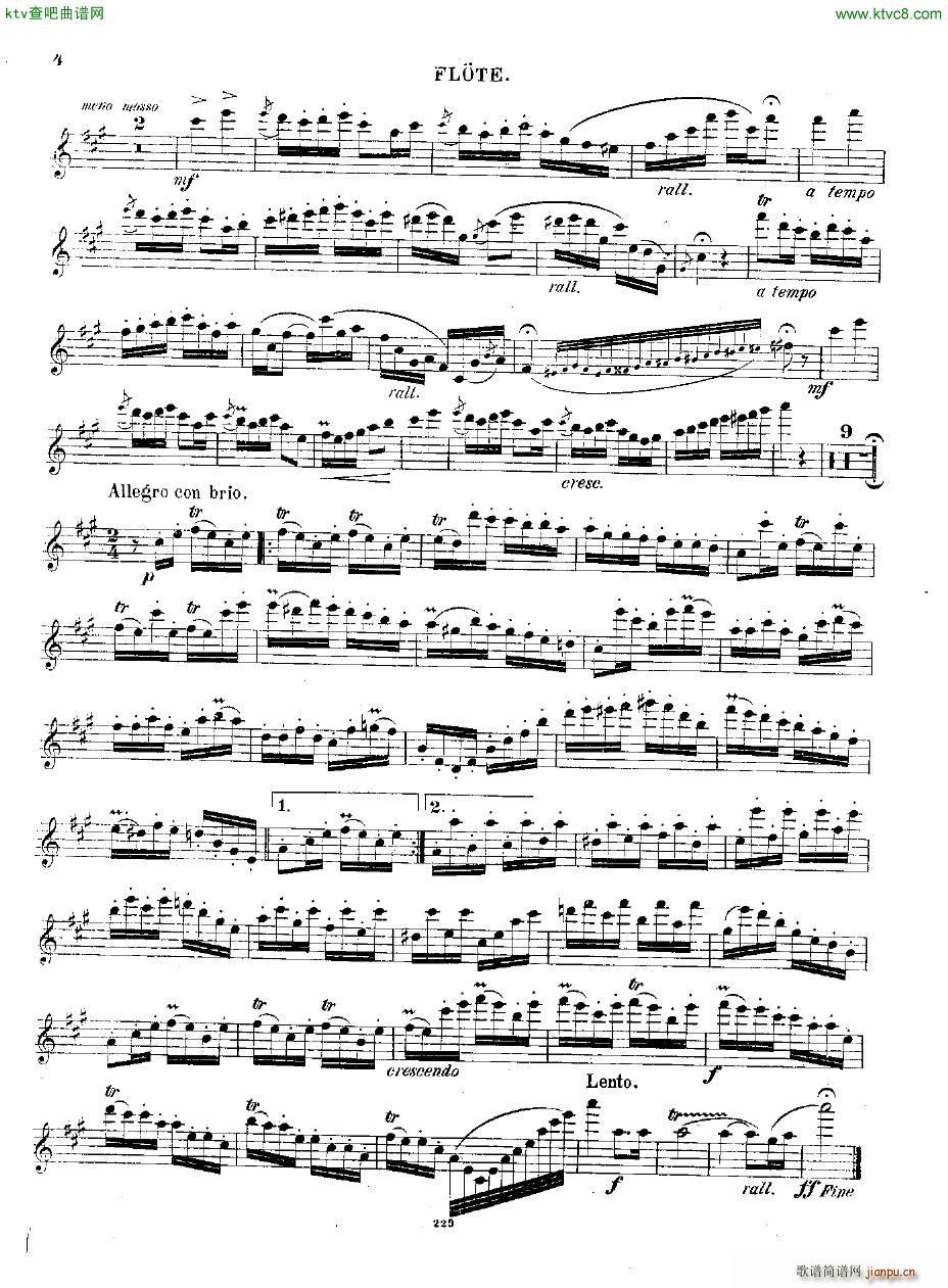 Andersen op 2 Ungarische Fantasie fl pno(钢琴谱)19