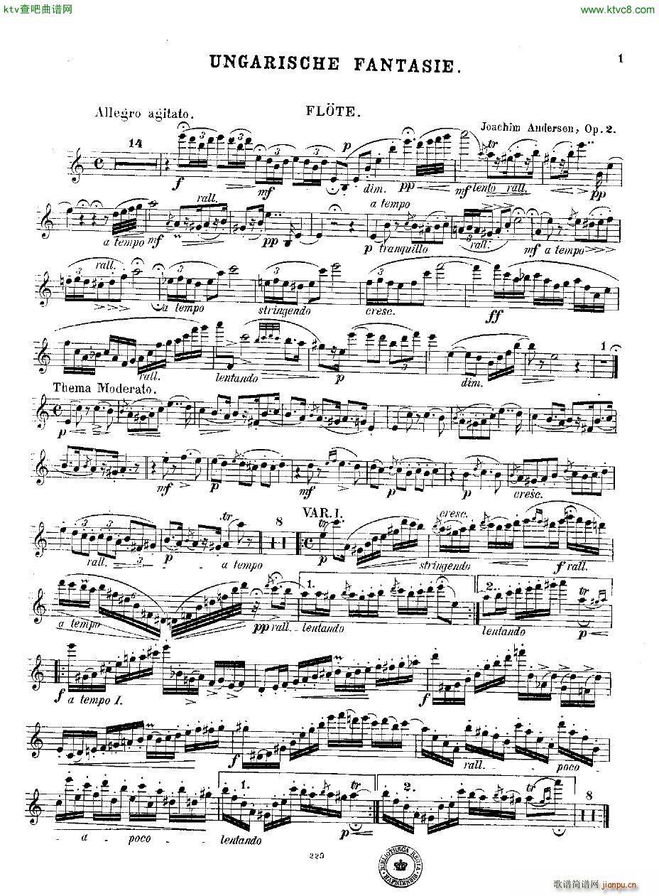 Andersen op 2 Ungarische Fantasie fl pno(钢琴谱)16