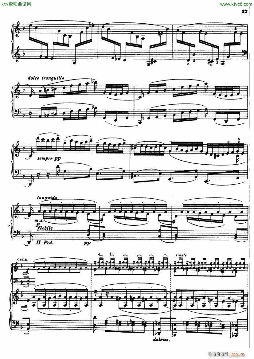 Transcription Bach Chaconne D Minor(钢琴谱)17