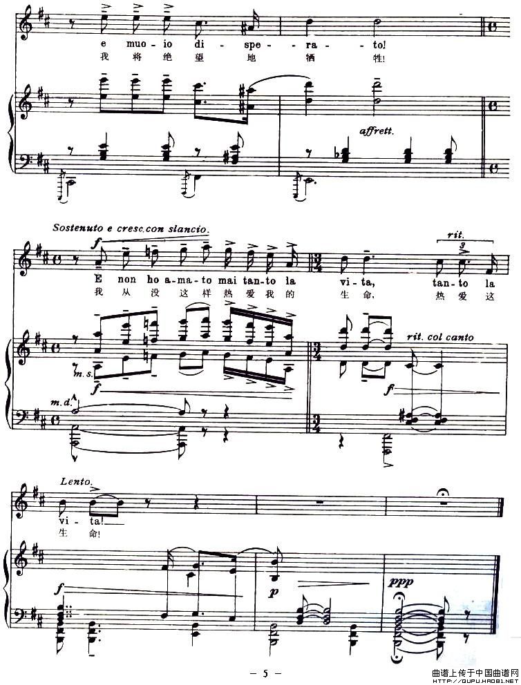 星光灿烂伴奏正谱(钢琴谱)5