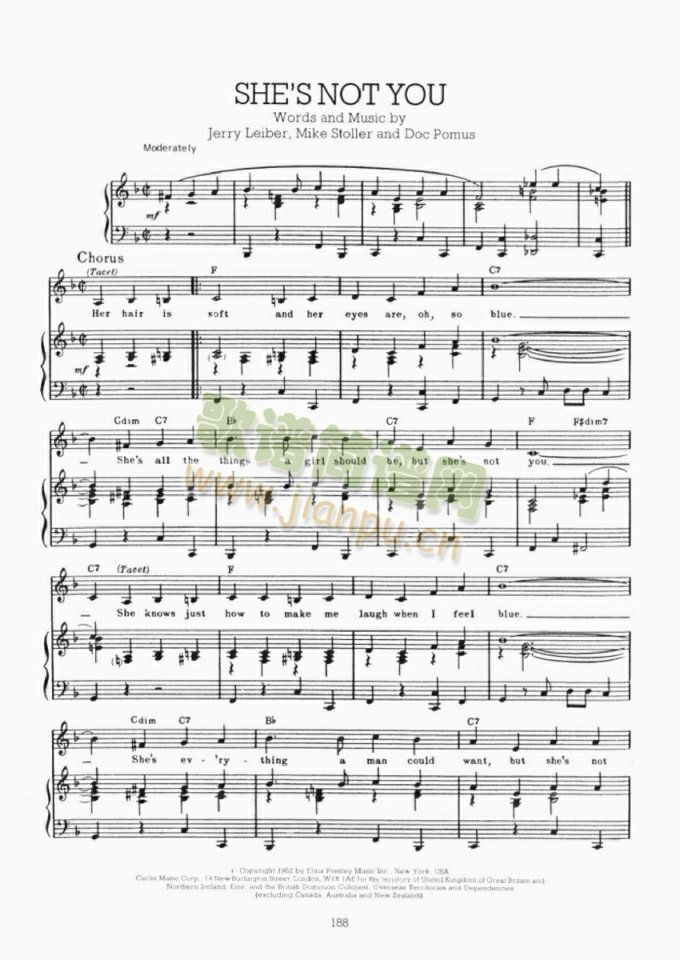 SHESNOTYOU(钢琴谱)1