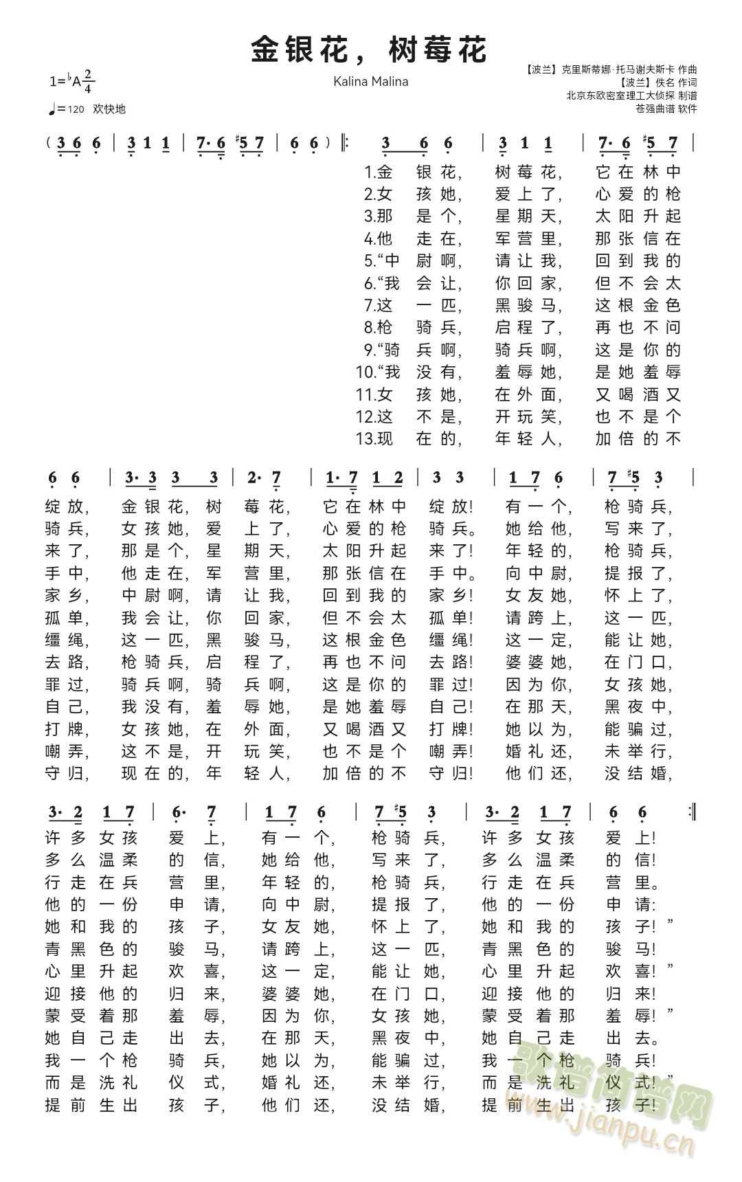 金银花，树莓花（波兰）(十字及以上)1