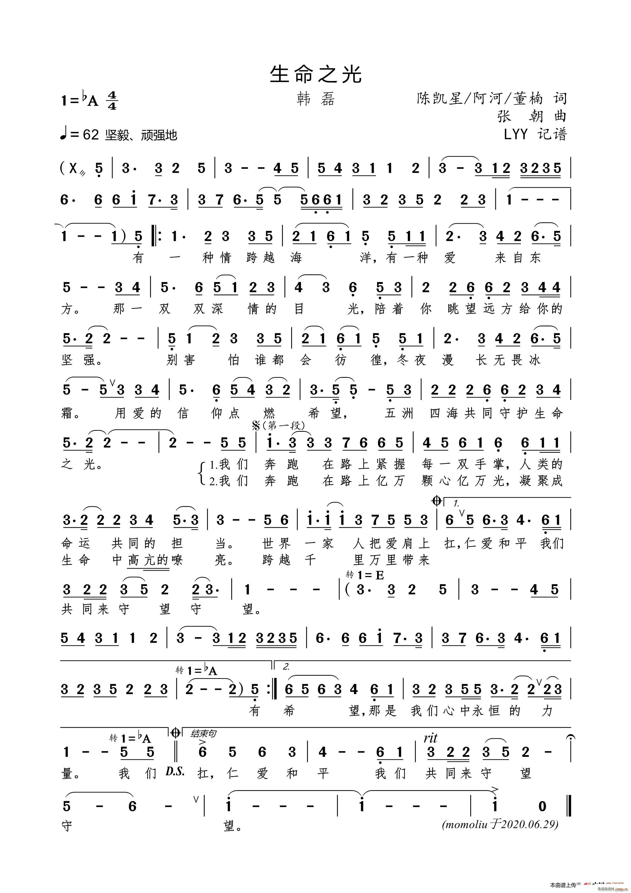 生命之光 陈凯星 阿河(十字及以上)1