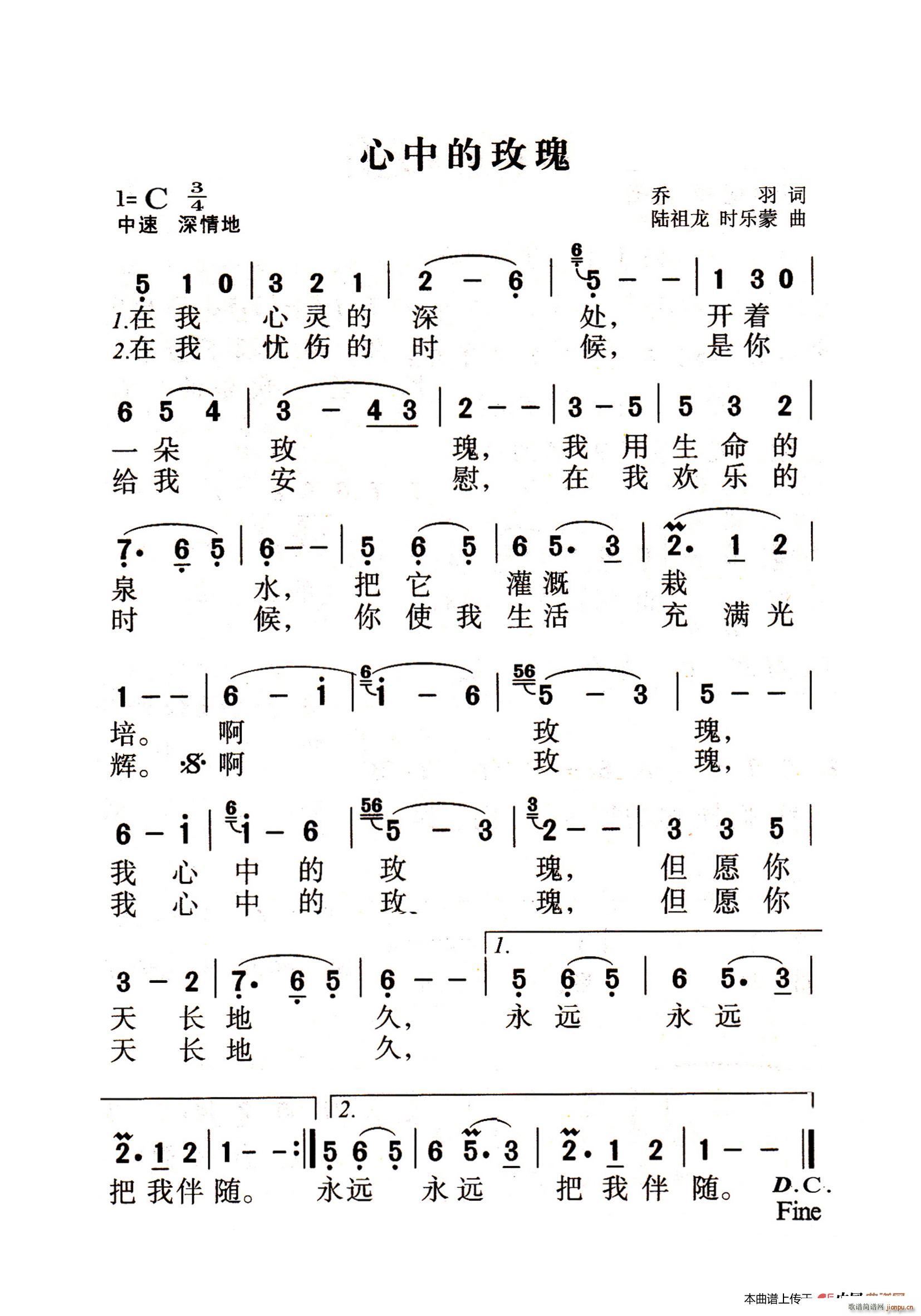 心中的玫瑰 老人适用(十字及以上)1