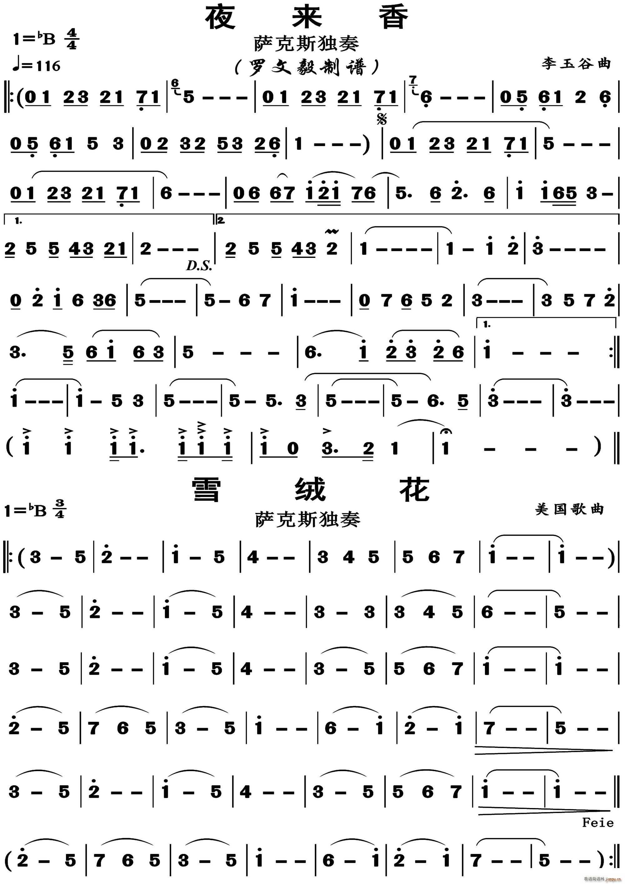 夜来香 雪绒花 萨克斯独奏(十字及以上)1